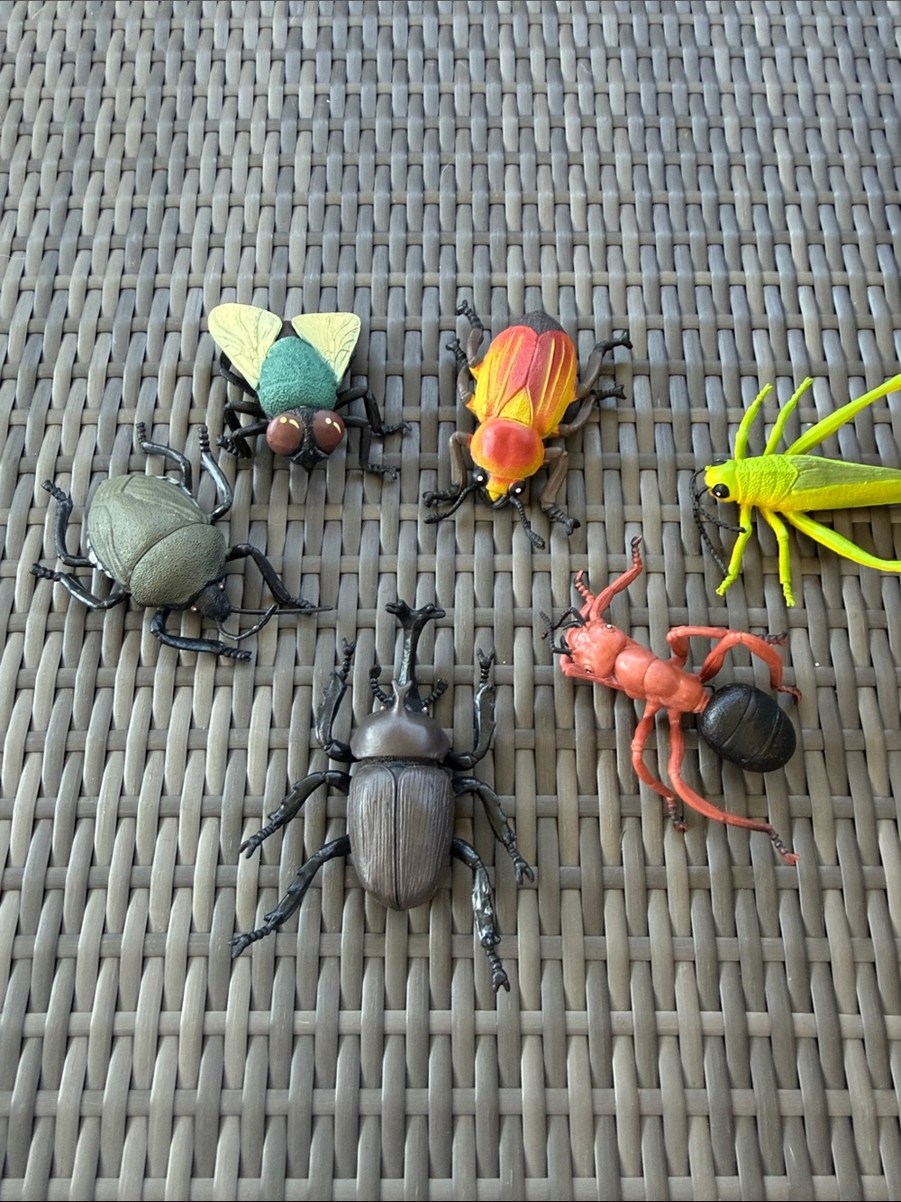 Assorted large Toy Insects - Multicolor Pack
